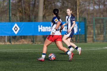 Bild 192 - wBJ Hamburger SV - Hertha BSC : Ergebnis: 2:1